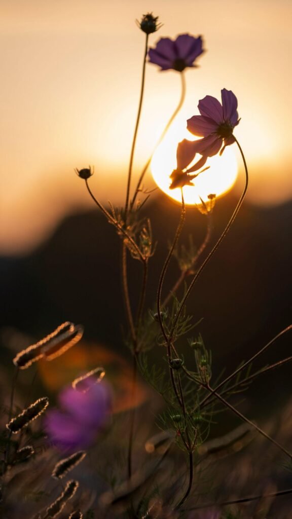 Plazas, pueblos y atardeceres de Querétaro que enseñan a pausar y disfrutar el presente