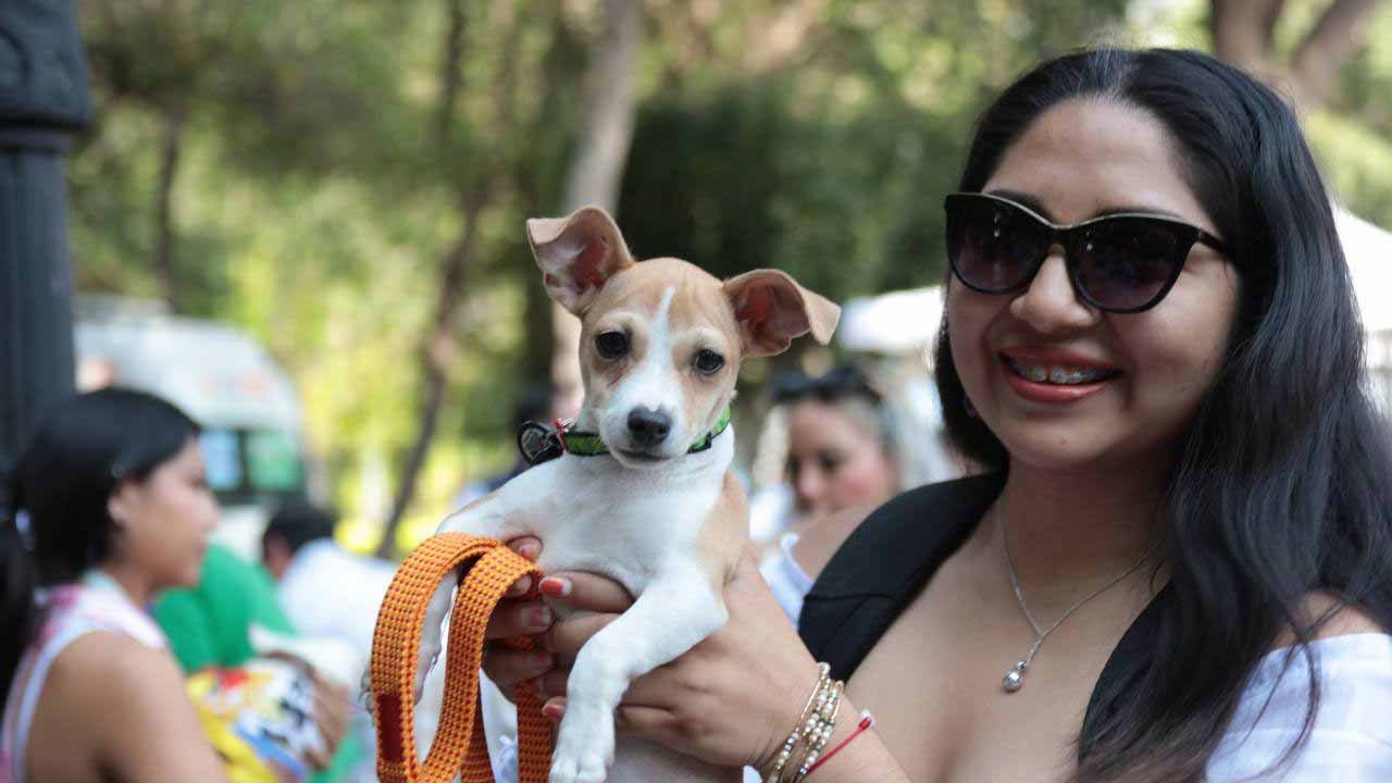 AMEQ realizará segunda Jornada Petfriendly en Querétaro